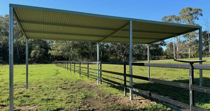 Open-sided steel field shelter with colorbond roof over a paddock